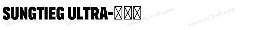 sungtieg ultra字体转换 sungtieg ultra字体转换